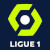 French Ligue 1